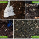 Fél év alatt tűntek el a lebomló komposztált zacskók a Humusz és a Greenpeace kísérletében