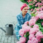 növények félárnyékos helyre hortenzia