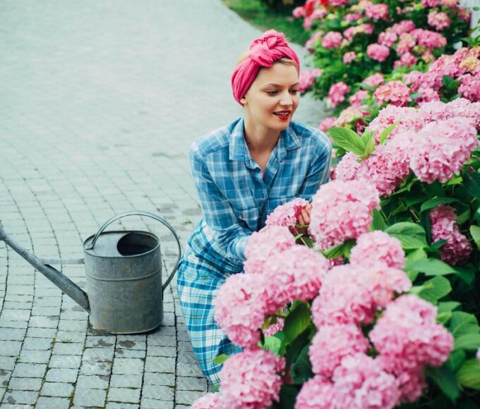 növények félárnyékos helyre hortenzia